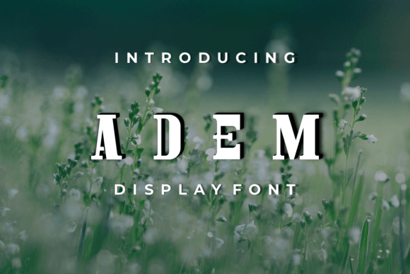 Adem: A Modern Serif Font for Impactful Design