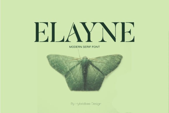 Elayne Font for Web Design