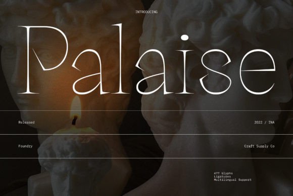 Palaise Font Review