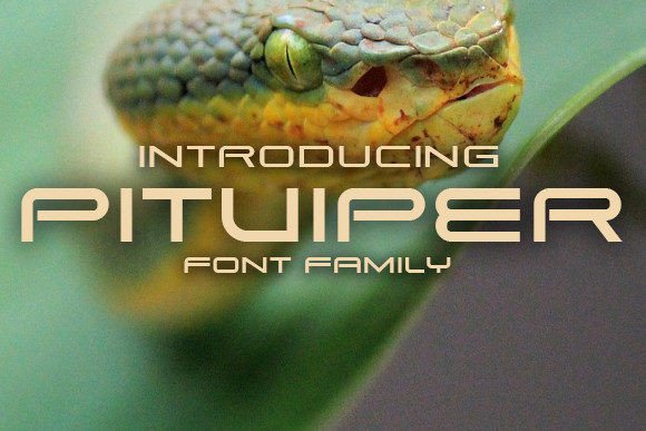Pitviper Font for Bold Web Design
